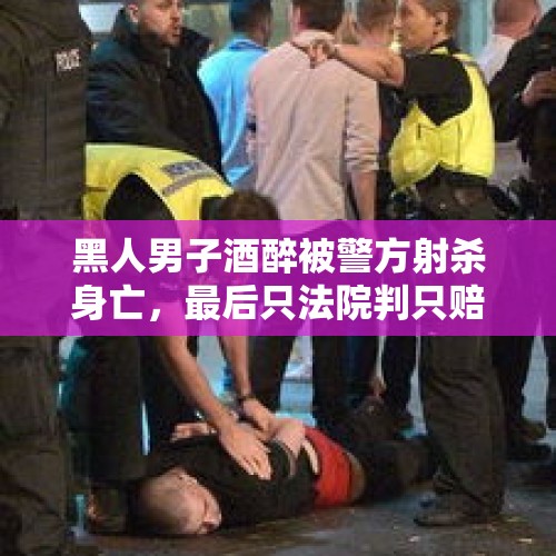 黑人男子酒醉被警方射杀身亡，最后只法院判只赔他家属4分钱，你怎么看？，新闻报道一狗狗被小偷枪杀被并剥皮，网上有些恨狗人士公然支持小偷的犯罪行为，为什么呢？