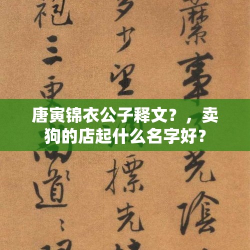 唐寅锦衣公子释文？，卖狗的店起什么名字好？