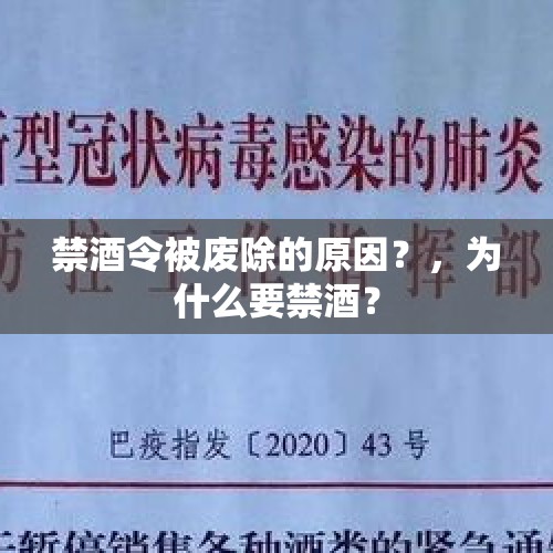 禁酒令被废除的原因？，为什么要禁酒？