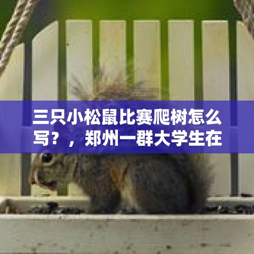 三只小松鼠比赛爬树怎么写？，郑州一群大学生在马路上滑滑板，被很多人点赞的同时却涉嫌违法你怎么看？