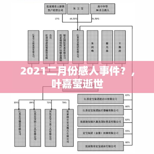 2021二月份感人事件？，叶嘉莹逝世