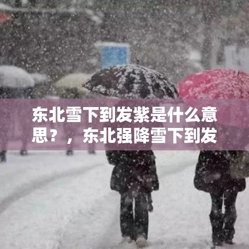 东北雪下到发紫是什么意思？，东北强降雪下到发紫是多少度？