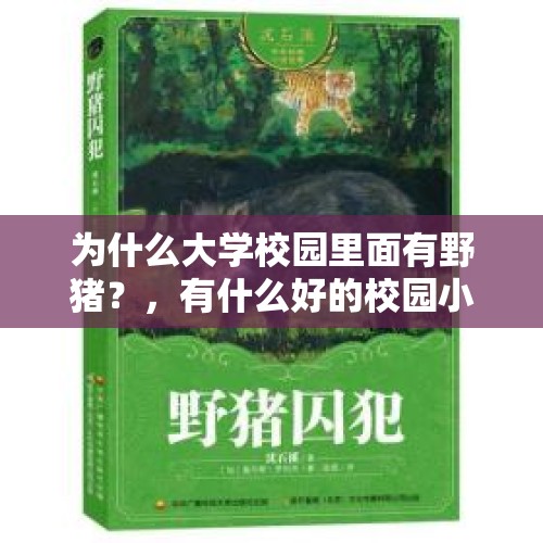 为什么大学校园里面有野猪？，有什么好的校园小说推荐下？