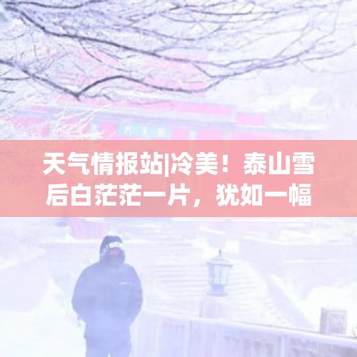 天气情报站|冷美！泰山雪后白茫茫一片，犹如一幅水墨画卷 - 今日头条