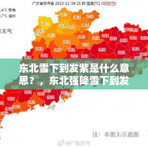 东北雪下到发紫是什么意思？，东北强降雪下到发紫什么意思？