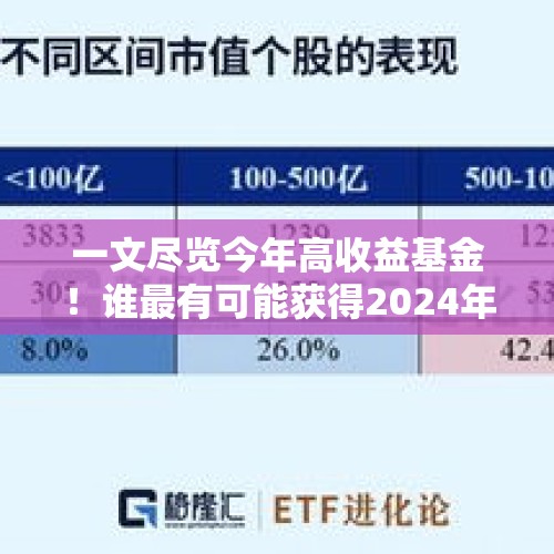 一文尽览今年高收益基金！谁最有可能获得2024年收益冠军？ - 今日头条