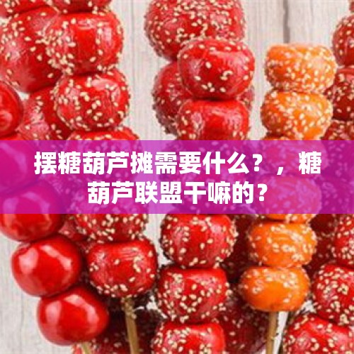 摆糖葫芦摊需要什么？，糖葫芦联盟干嘛的？