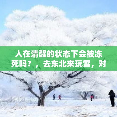 人在清醒的状态下会被冻死吗？，去东北来玩雪，对于南方人来说有那么稀奇吗？