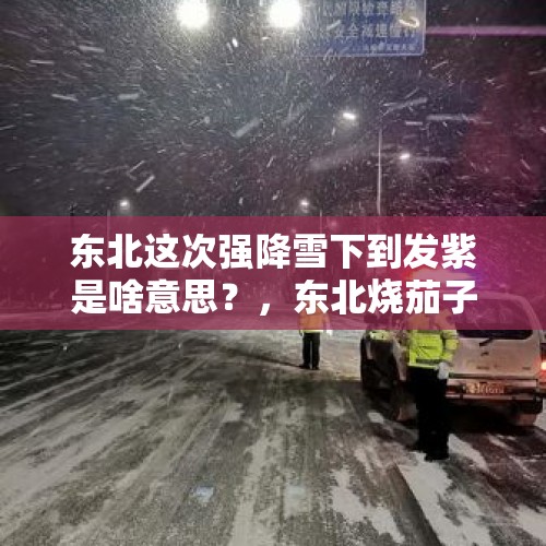 东北这次强降雪下到发紫是啥意思？，东北烧茄子的由来？