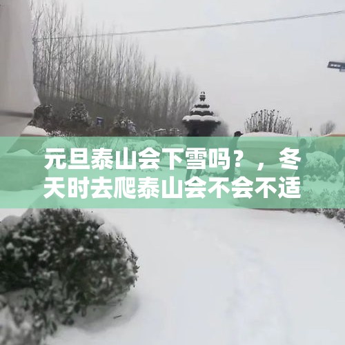 元旦泰山会下雪吗？，冬天时去爬泰山会不会不适合？