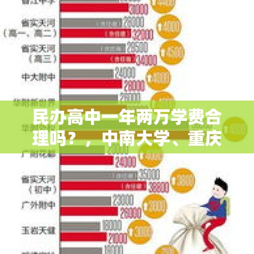 民办高中一年两万学费合理吗？，中南大学、重庆大学、山东大学、西工大、成电等本科毕业证与200万，孰重？