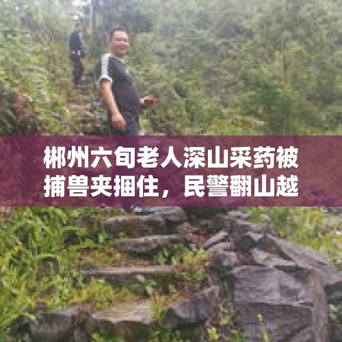 郴州六旬老人深山采药被捕兽夹捆住，民警翻山越岭救助, 你怎么看？，有些农村最近野猪真多，碰到野猪如何自卫呢？