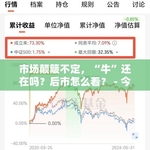 市场颠簸不定，“牛”还在吗？后市怎么看？ - 今日头条