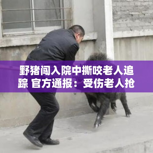 野猪闯入院中撕咬老人追踪 官方通报：受伤老人抢救无效已身亡 - 今日头条