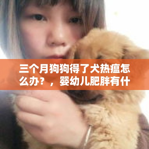 三个月狗狗得了犬热瘟怎么办？，婴幼儿肥胖有什么危害，如何预防肥胖？