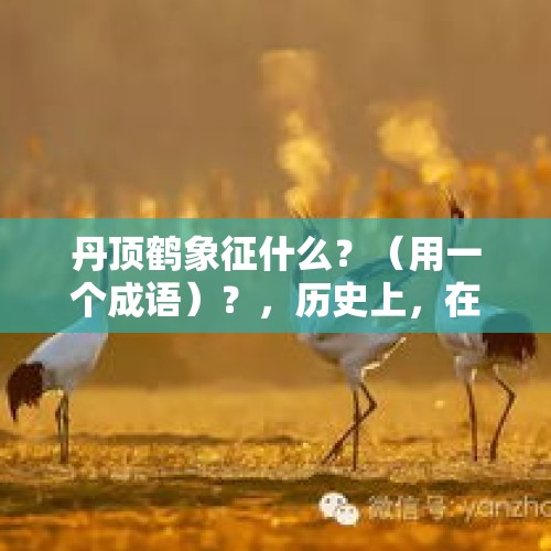 丹顶鹤象征什么？（用一个成语）？，历史上，在什么样的情况下皇帝会“大赦天下”？