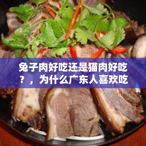 兔子肉好吃还是猫肉好吃？，为什么广东人喜欢吃狗肉、猫肉、田鼠肉、鸽子肉、兔子肉呢？