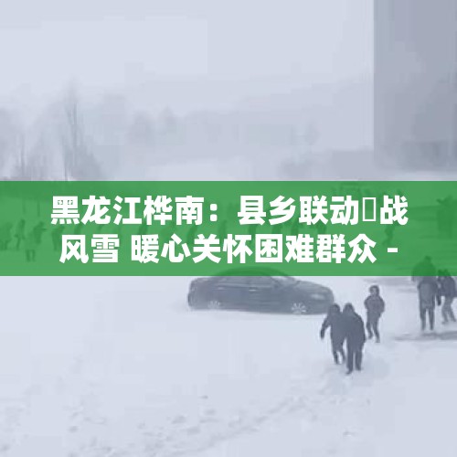 黑龙江桦南：县乡联动勠战风雪 暖心关怀困难群众 - 今日头条