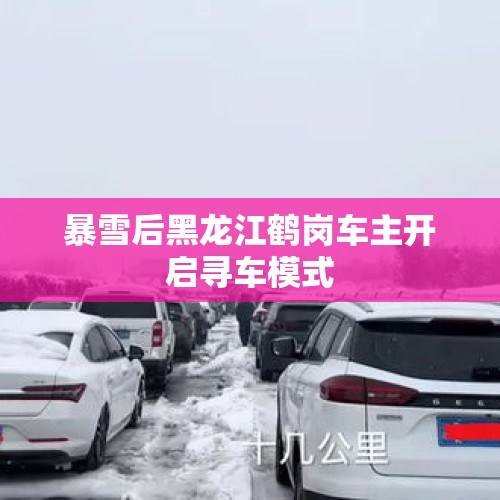 暴雪后黑龙江鹤岗车主开启寻车模式