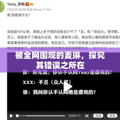 被全网围观的麦琳，探究其错误之所在