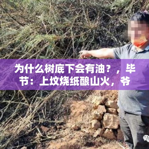 为什么树底下会有油？，毕节：上坟烧纸酿山火，爷孙双双被拘, 你怎么看？