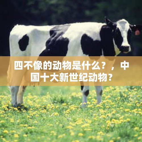 四不像的动物是什么？，中国十大新世纪动物？