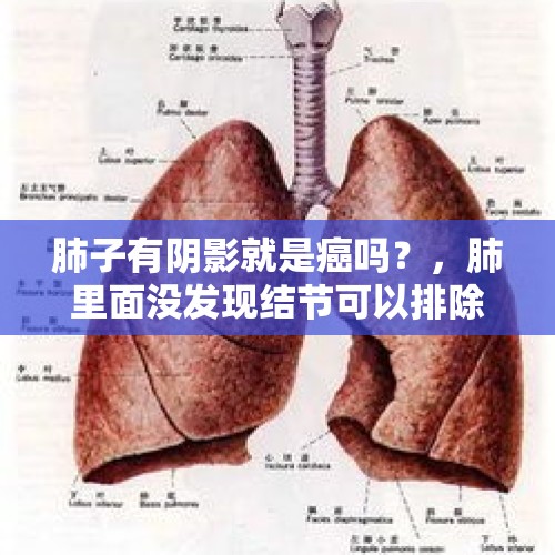 肺子有阴影就是癌吗？，肺里面没发现结节可以排除肺癌吗？