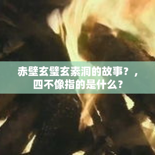 赤壁玄璧玄素洞的故事？，四不像指的是什么？