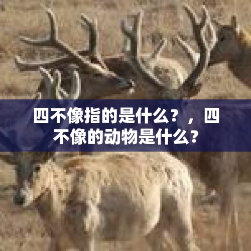 四不像指的是什么？，四不像的动物是什么？