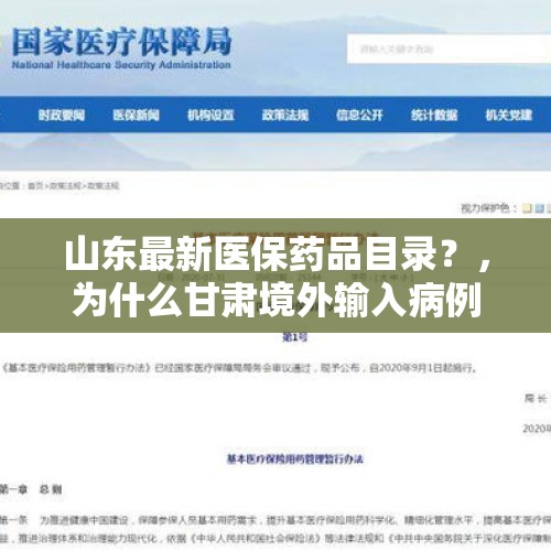 山东最新医保药品目录？，为什么甘肃境外输入病例多？