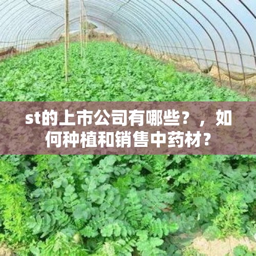 st的上市公司有哪些？，如何种植和销售中药材？