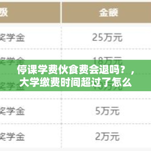 停课学费伙食费会退吗？，大学缴费时间超过了怎么办？