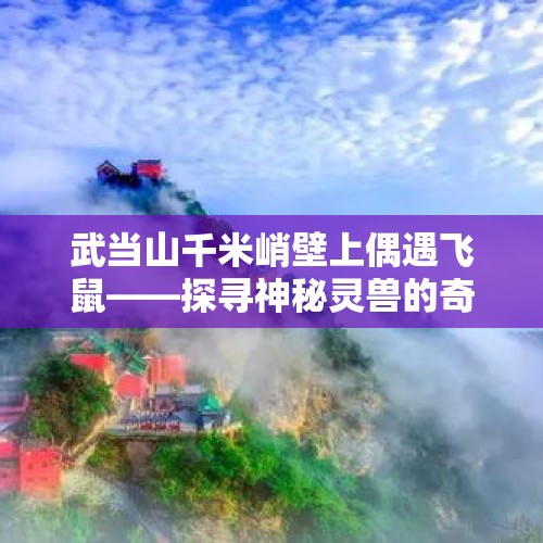 武当山千米峭壁上偶遇飞鼠——探寻神秘灵兽的奇遇之旅