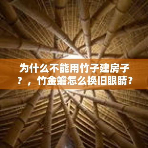 为什么不能用竹子建房子？，竹金蟾怎么换旧眼睛？