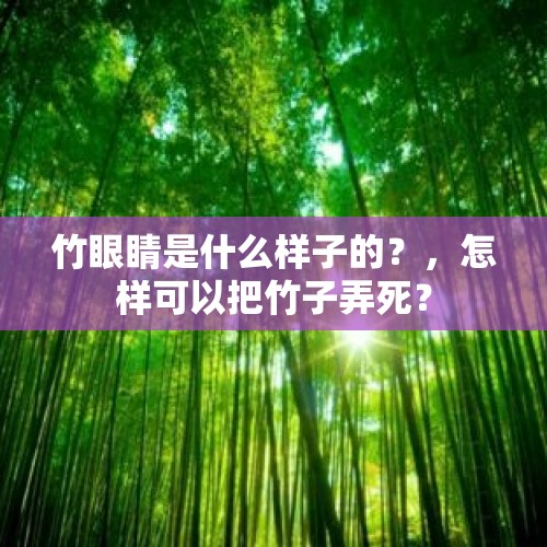 竹眼睛是什么样子的？，怎样可以把竹子弄死？