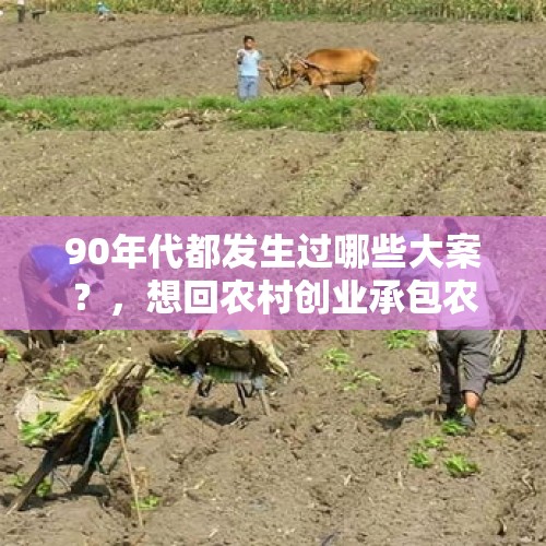 90年代都发生过哪些大案？，想回农村创业承包农田种粮食可以吗？