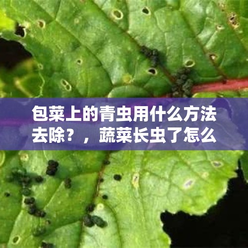 包菜上的青虫用什么方法去除？，蔬菜长虫了怎么办？