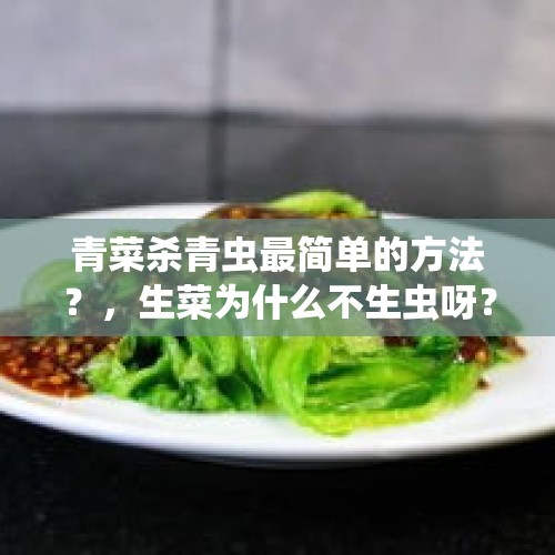 青菜杀青虫最简单的方法？，生菜为什么不生虫呀？