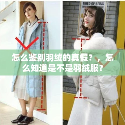 怎么鉴别羽绒的真假？，怎么知道是不是羽绒服？