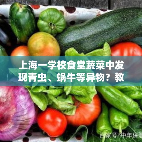 上海一学校食堂蔬菜中发现青虫、蜗牛等异物？教育局：已立案调查 - 今日头条