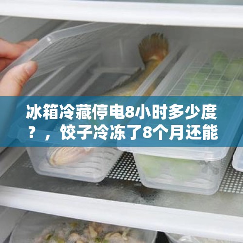 冰箱冷藏停电8小时多少度？，饺子冷冻了8个月还能吃吗？