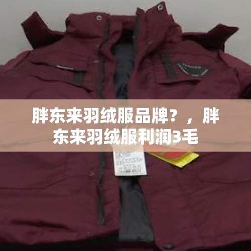 胖东来羽绒服品牌？，胖东来羽绒服利润3毛