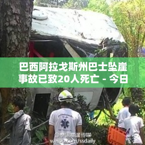 巴西阿拉戈斯州巴士坠崖事故已致20人死亡 - 今日头条