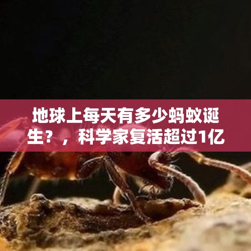 地球上每天有多少蚂蚁诞生？，科学家复活超过1亿年的生物！它是如何生存下来的？