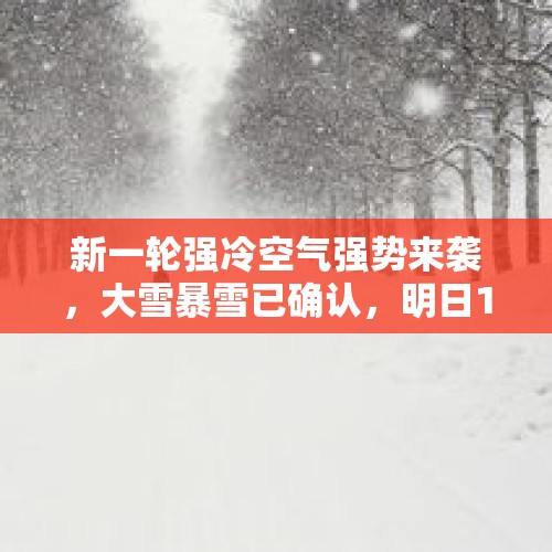 新一轮强冷空气强势来袭，大雪暴雪已确认，明日12月1～2号天气 - 今日头条