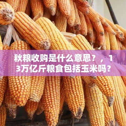 秋粮收购是什么意思？，13万亿斤粮食包括玉米吗？