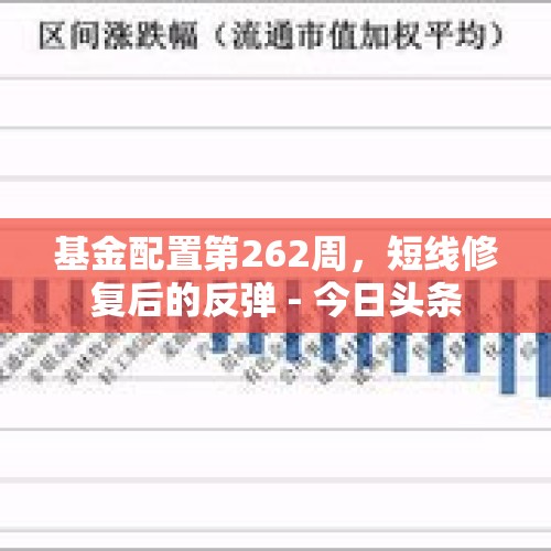 基金配置第262周，短线修复后的反弹 - 今日头条