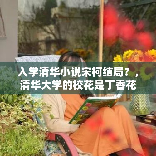 入学清华小说宋柯结局？，清华大学的校花是丁香花还是什么别的花？