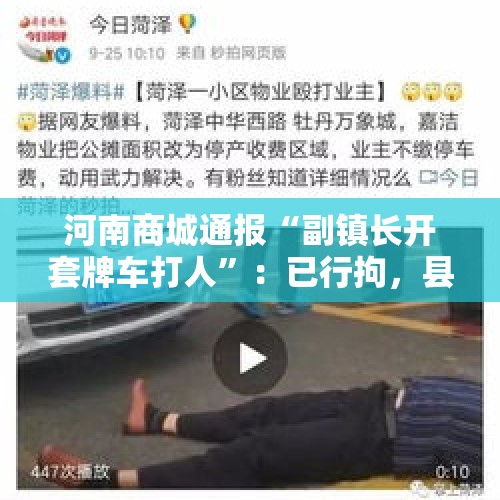 河南商城通报“副镇长开套牌车打人”：已行拘，县纪委监委介入 - 今日头条