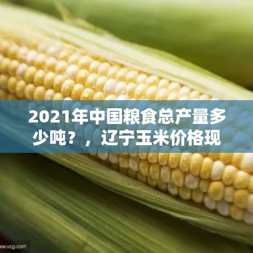 2021年中国粮食总产量多少吨？，辽宁玉米价格现在是什么价位？近期卖粮是否划算？